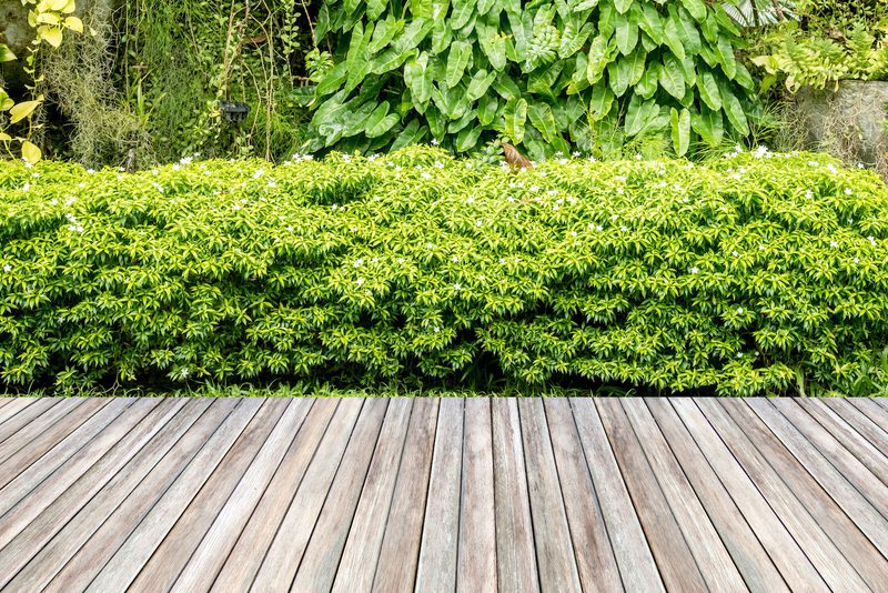 Decking Restoration