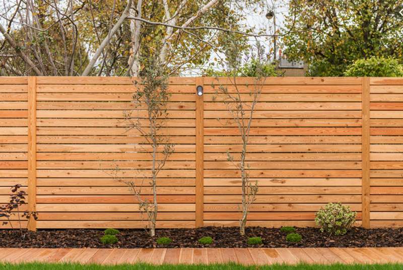 Wooden horizontal slat fence with two slender trees in a mulched bed, small shrubs along, brick-edged lawn in foreground and greenery beyond the fence.