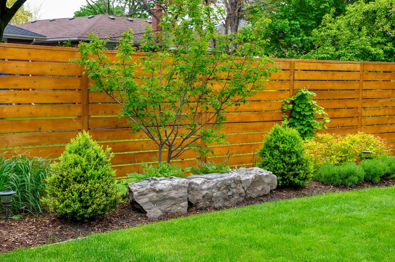 Backyard garden with a wooden privacy fence, a young tree between two large rocks, and trimmed shrubs along a mulched bed beside a green lawn.