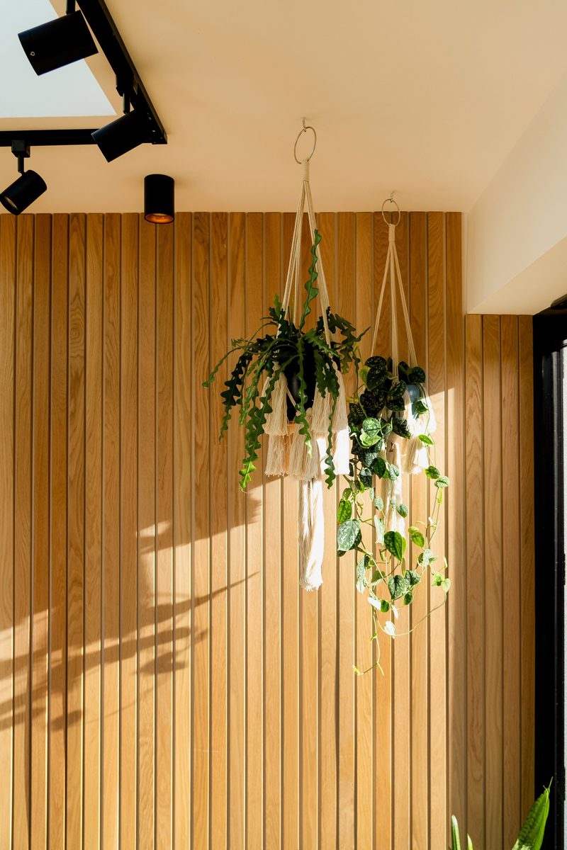 Indoor scene with two macrame plant hangers holding trailing green plants against a vertical wooden slat wall, illuminated by warm sunlight.
