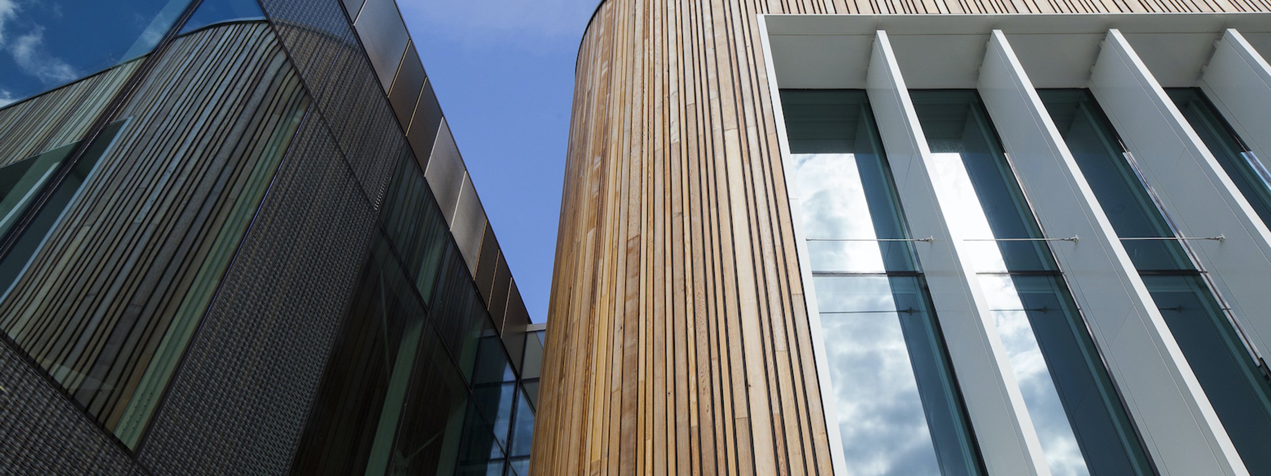 Western Red Cedar: Facts, Properties, Uses, Benefits & Costs