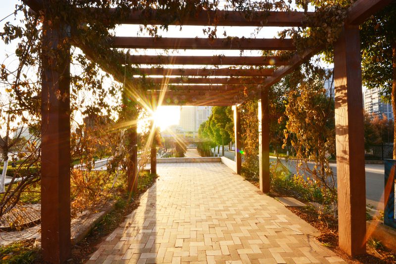 Sunlit brick-paved walkway beneath a wooden pergola covered with vines, sunburst lens flare at the end, in a city park with trees and distant buildings.