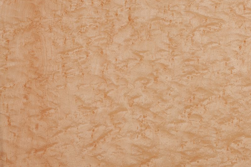 Maple Wood Birds eye