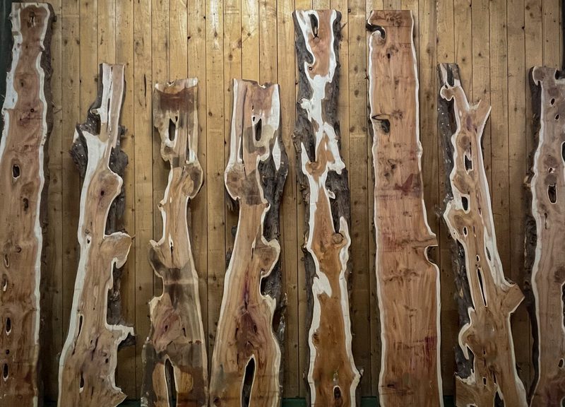 Multiple tall live-edge wooden slabs leaning upright against a wood-paneled wall, displaying natural knots, cracks, and varied brown hues.