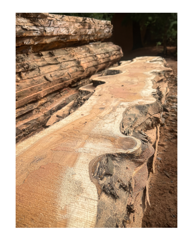 Close-up of rough-cut logs with bark, stacked outdoors in a forest setting, showing saw marks and exposed wood rings.