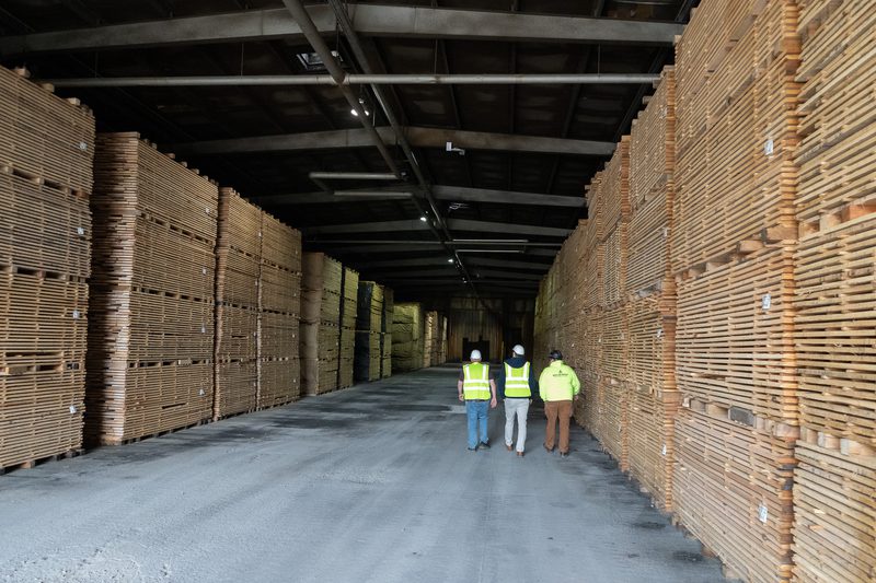 A large warehouse with tall stacks of wooden pallets along both sides; three workers in high-visibility vests walk down the central aisle.