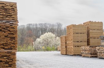 Stacks of lumber on pallets in an outdoor yard, gravel ground, with bare trees and a white-flowering tree in the background under a cloudy sky.
