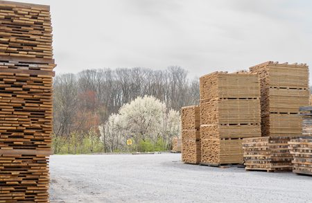 Stacks of lumber on pallets in an outdoor yard, gravel ground, with bare trees and a white-flowering tree in the background under a cloudy sky.