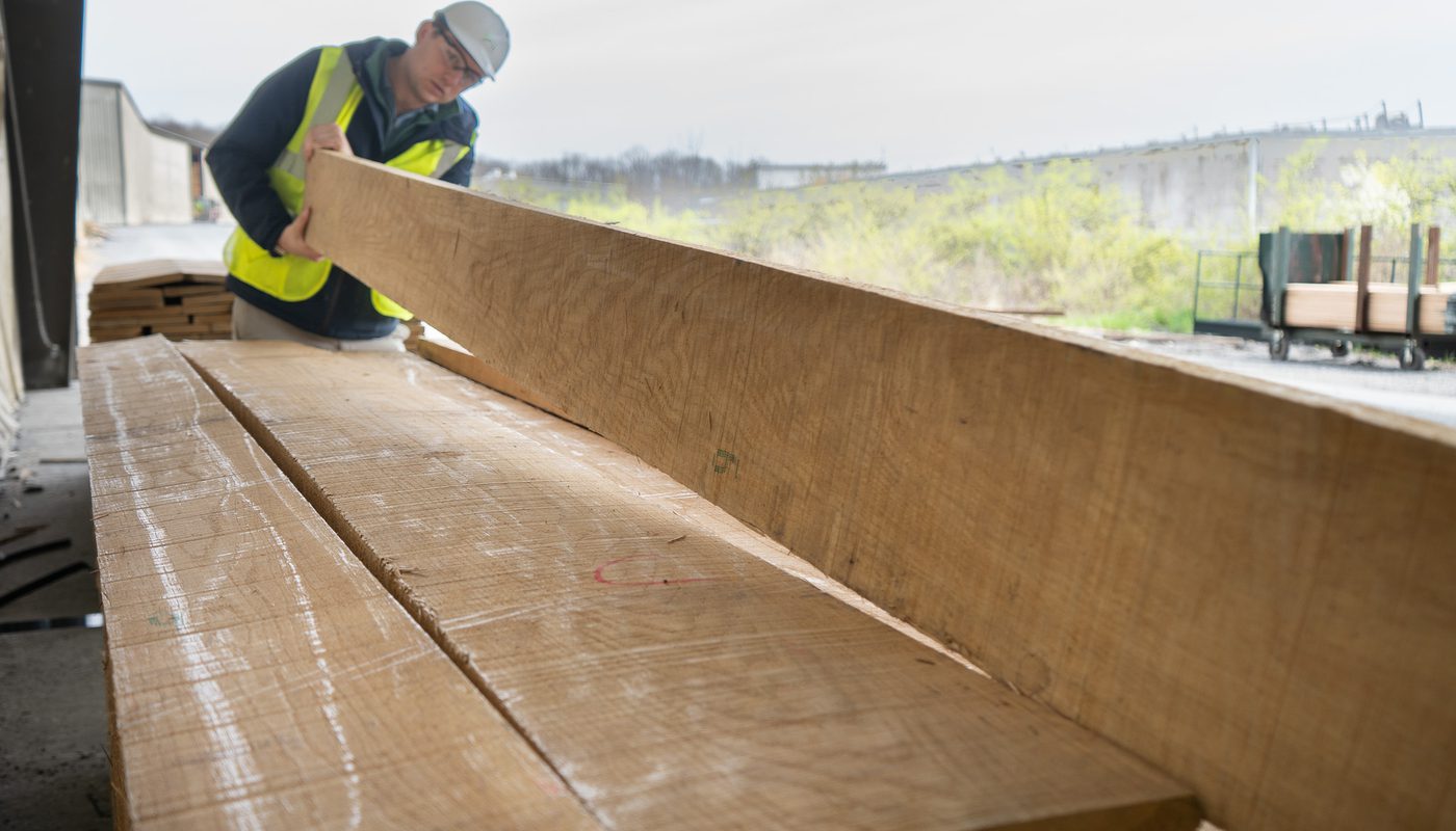 White oak inspection #1