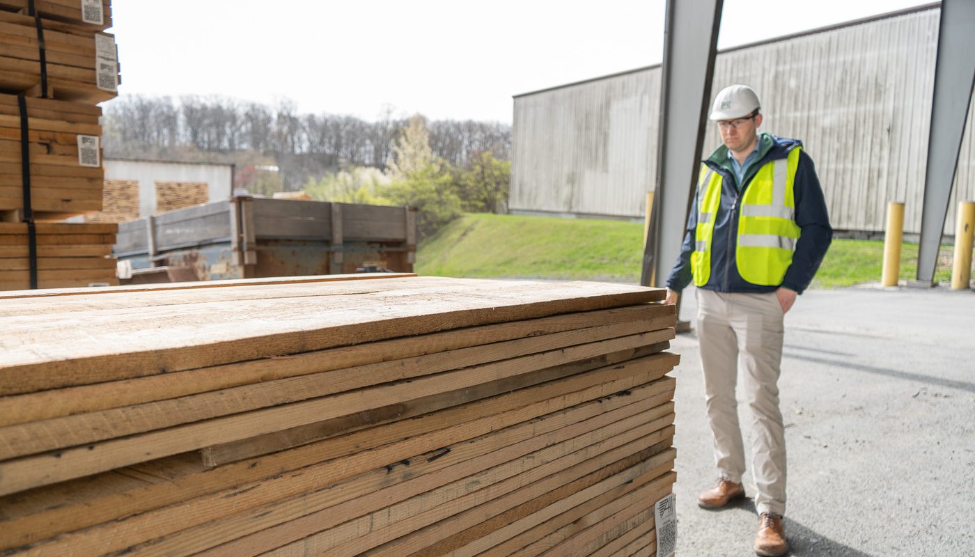 Whiote oak inspection #2