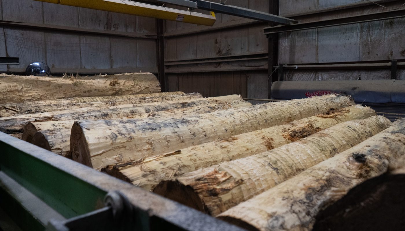 Logs going into the sawmill