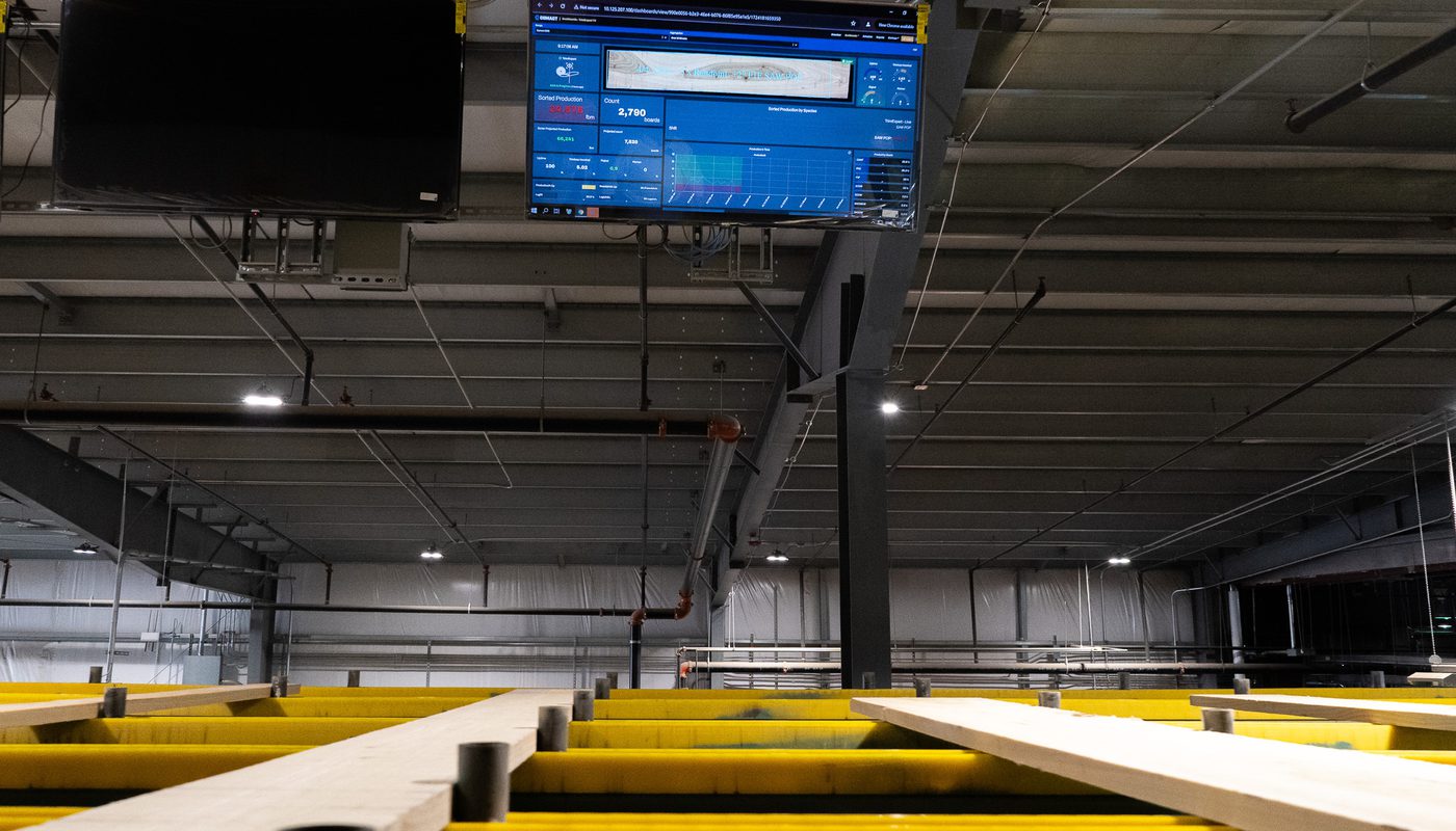 Boards on the sorting line