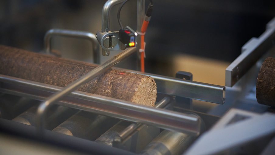 Close-up of a rough log on a metal conveyor in an industrial wood-processing machine, featuring a clamp, a sensor, and orange cables.