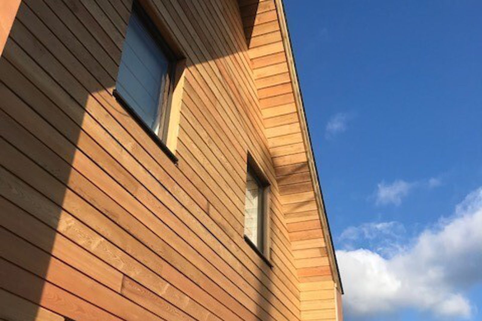 Casing Cladding Larch vs. Cedar Cladding: Appearance, Durability & Cost