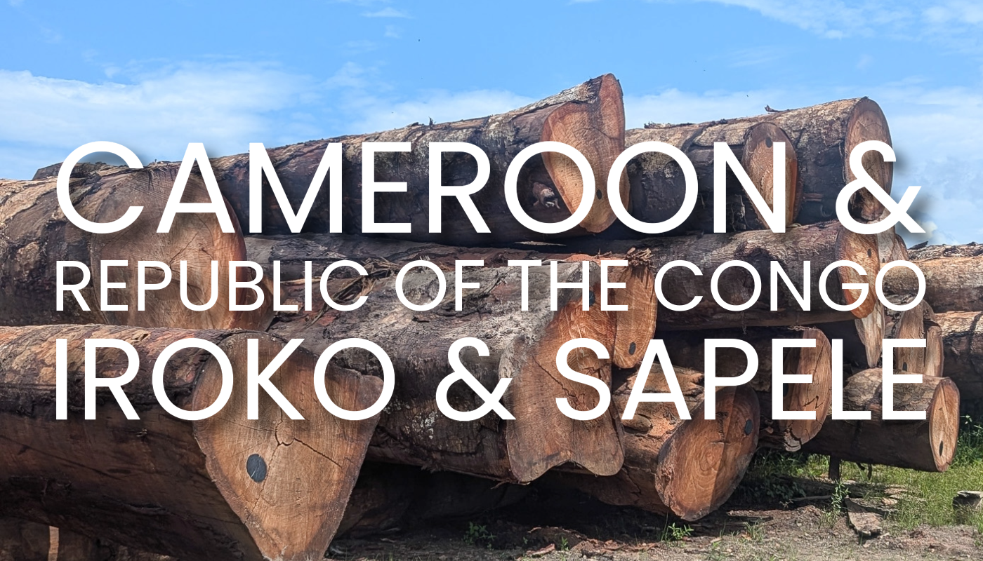 Pile of large cut logs on dirt under a clear blue sky, with bold white text overlay reading CAMEROON & REPUBLIC OF THE CONGO IROKO & SAPELE.
