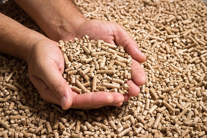 Two hands holding a handful of small beige wood pellets, with more pellets scattered around.