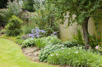 Garden fencing lead image