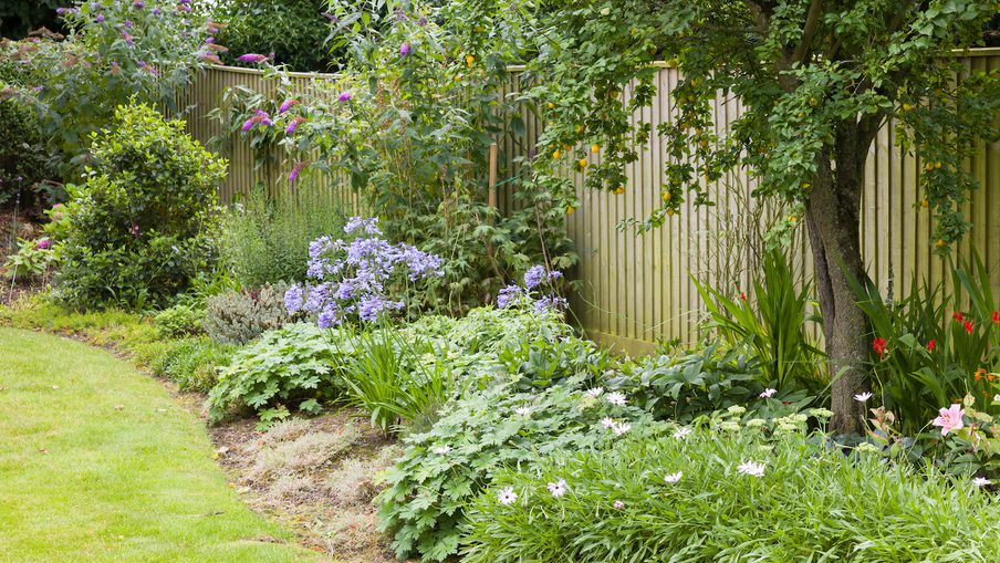Garden fencing lead image