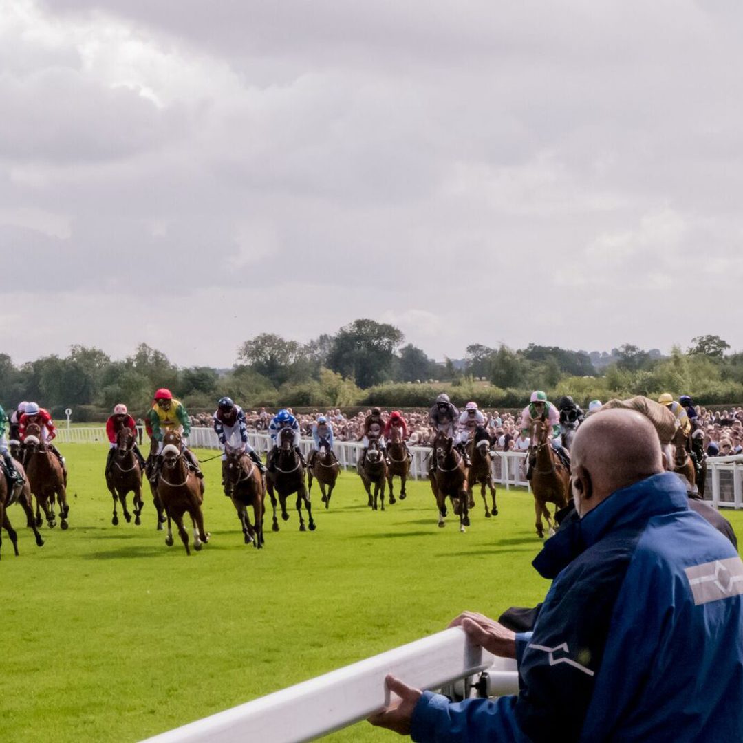 Ripon Races Celebrating our 60th at Ripon Races