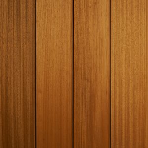 Z71 9584 43 Ayous DTC28 1