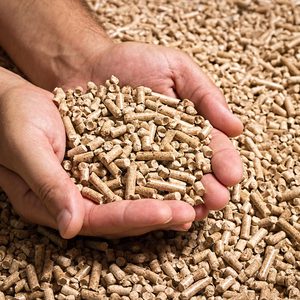 Wood Pellets 1 230331 131747